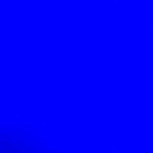 Meet your Posher, Lee